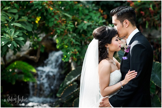 photo of bride and groom in front of a waterfall at The Butterfly House