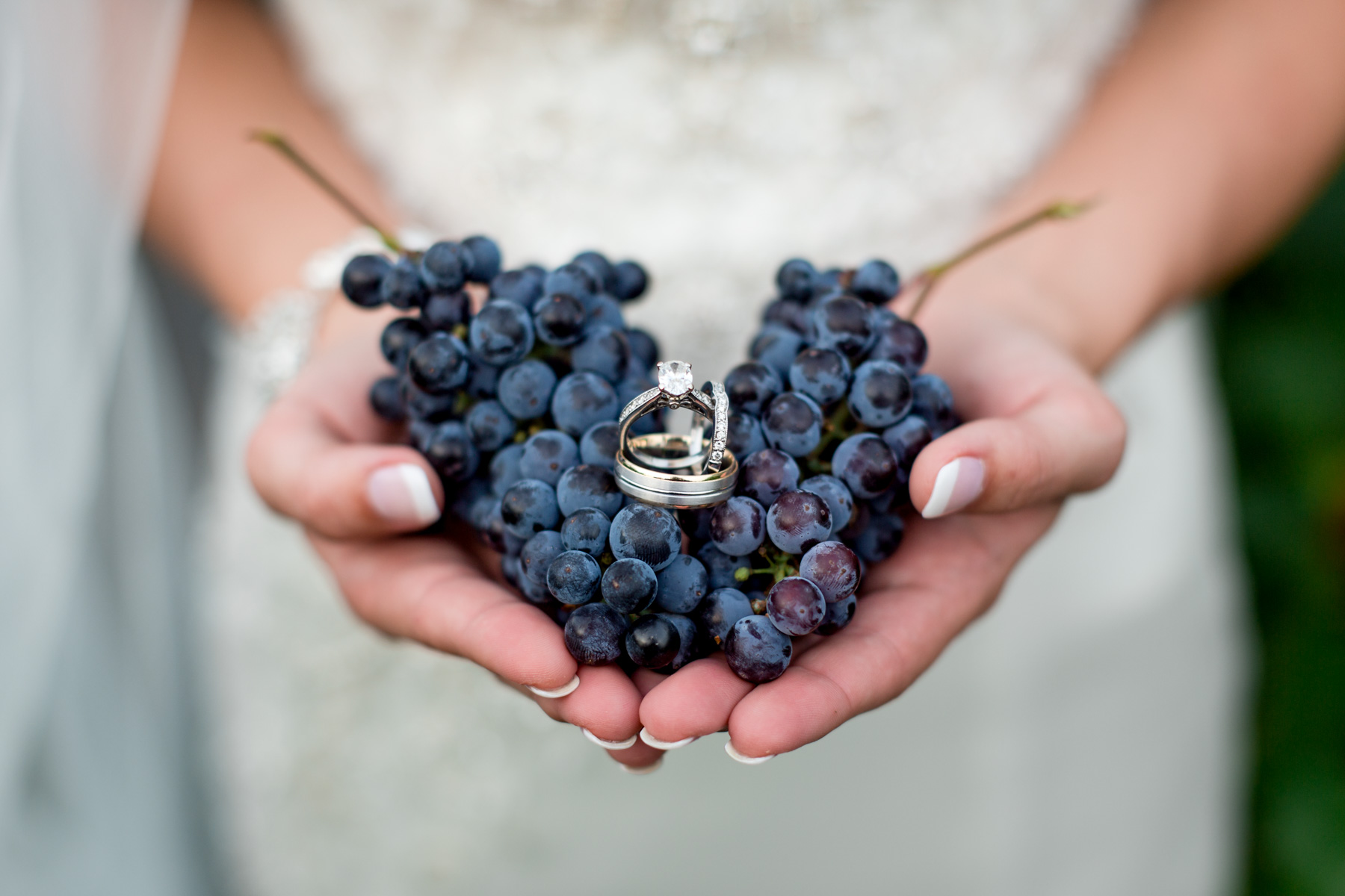 photo of bride holding grapes and rings at white mule winery by ashley fisher photography