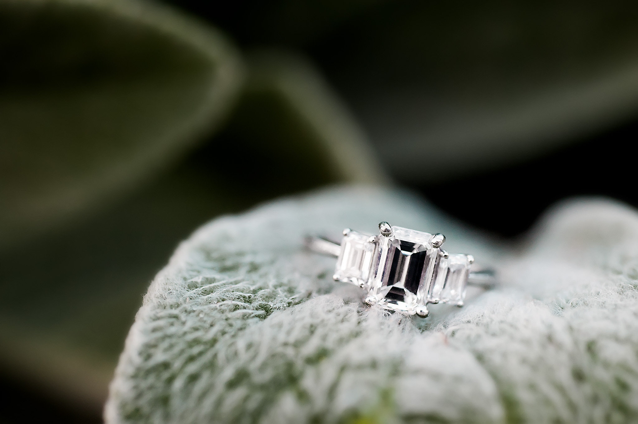 emerald cut engagement ring with baguettes by ashley fisher photography